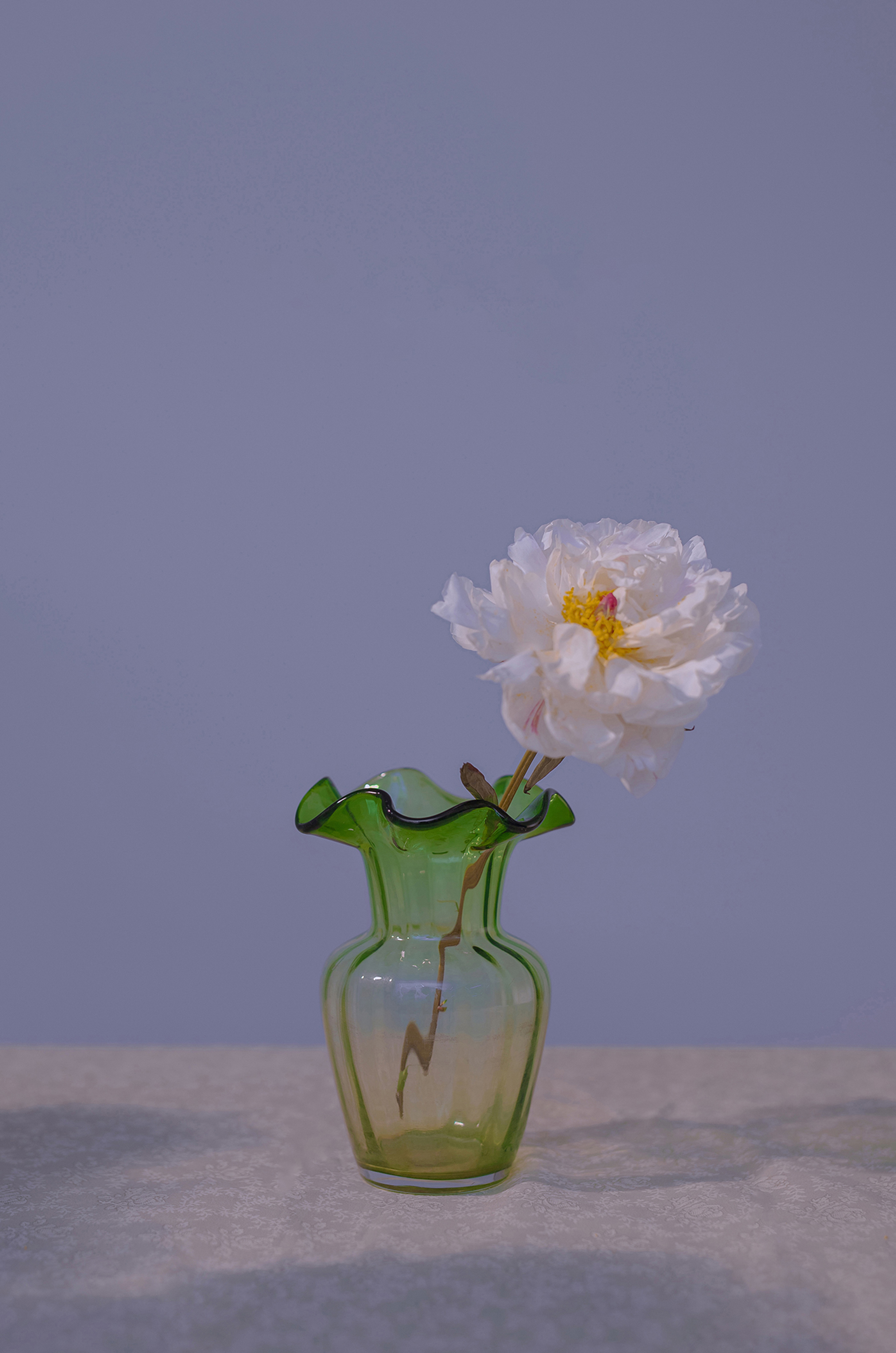 蜘蛛池是否能配合低频爬虫同步策略