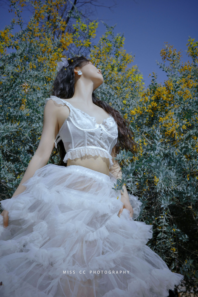 蜘蛛池与网站架构优化的配合