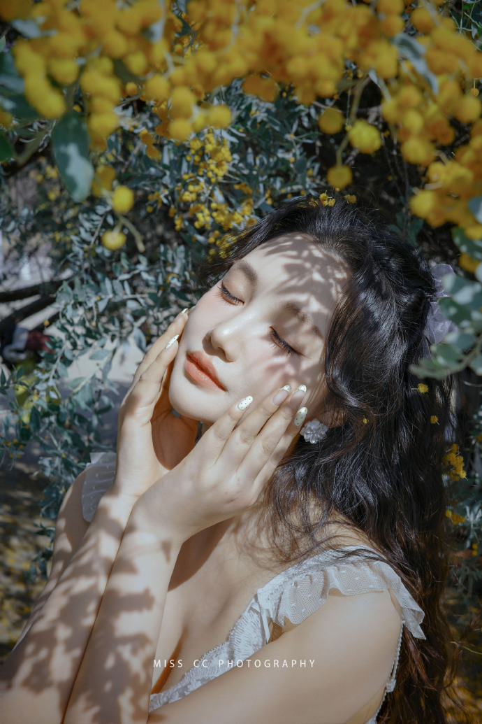 蜘蛛池能否提升收录质量？