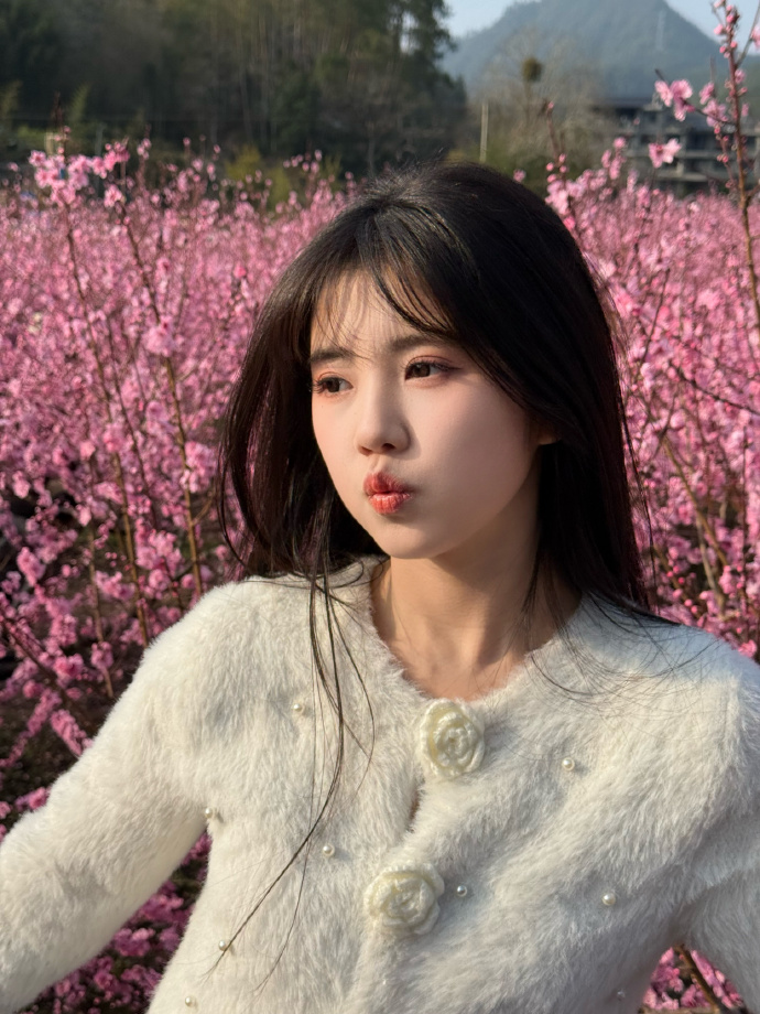 如何用蜘蛛池推送页面结构变更？