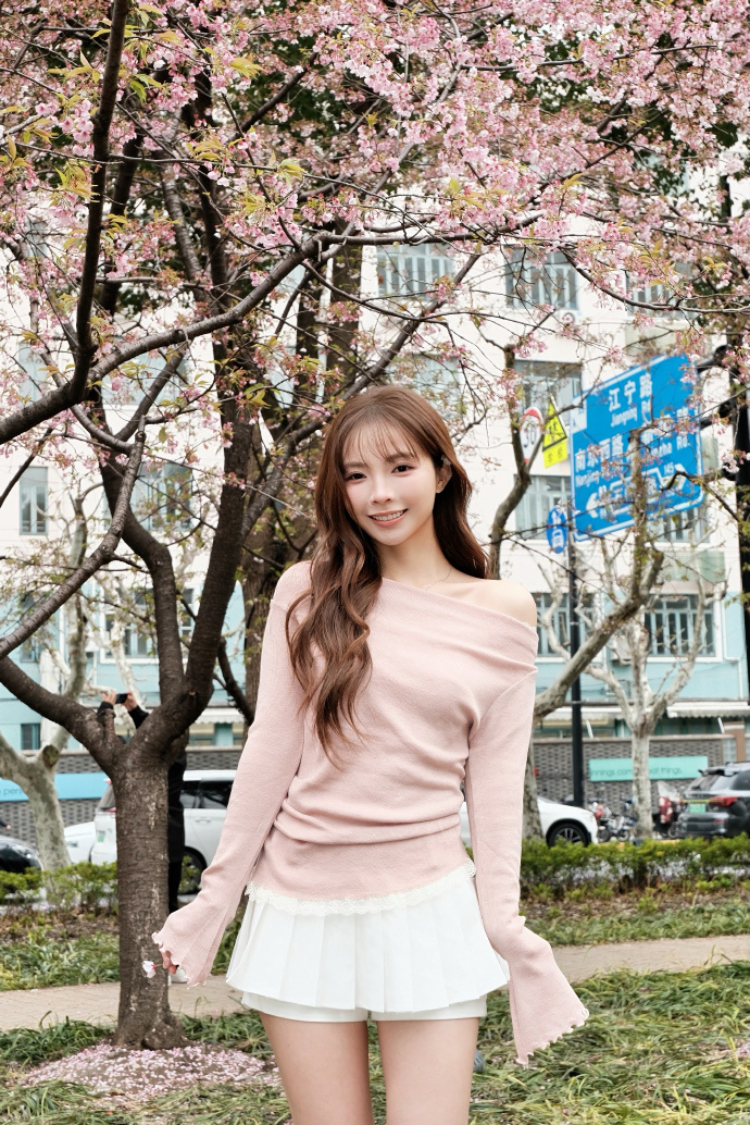 蜘蛛池中的IP地址轮换策略