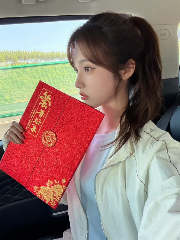 蜘蛛池访问日志的深度分析