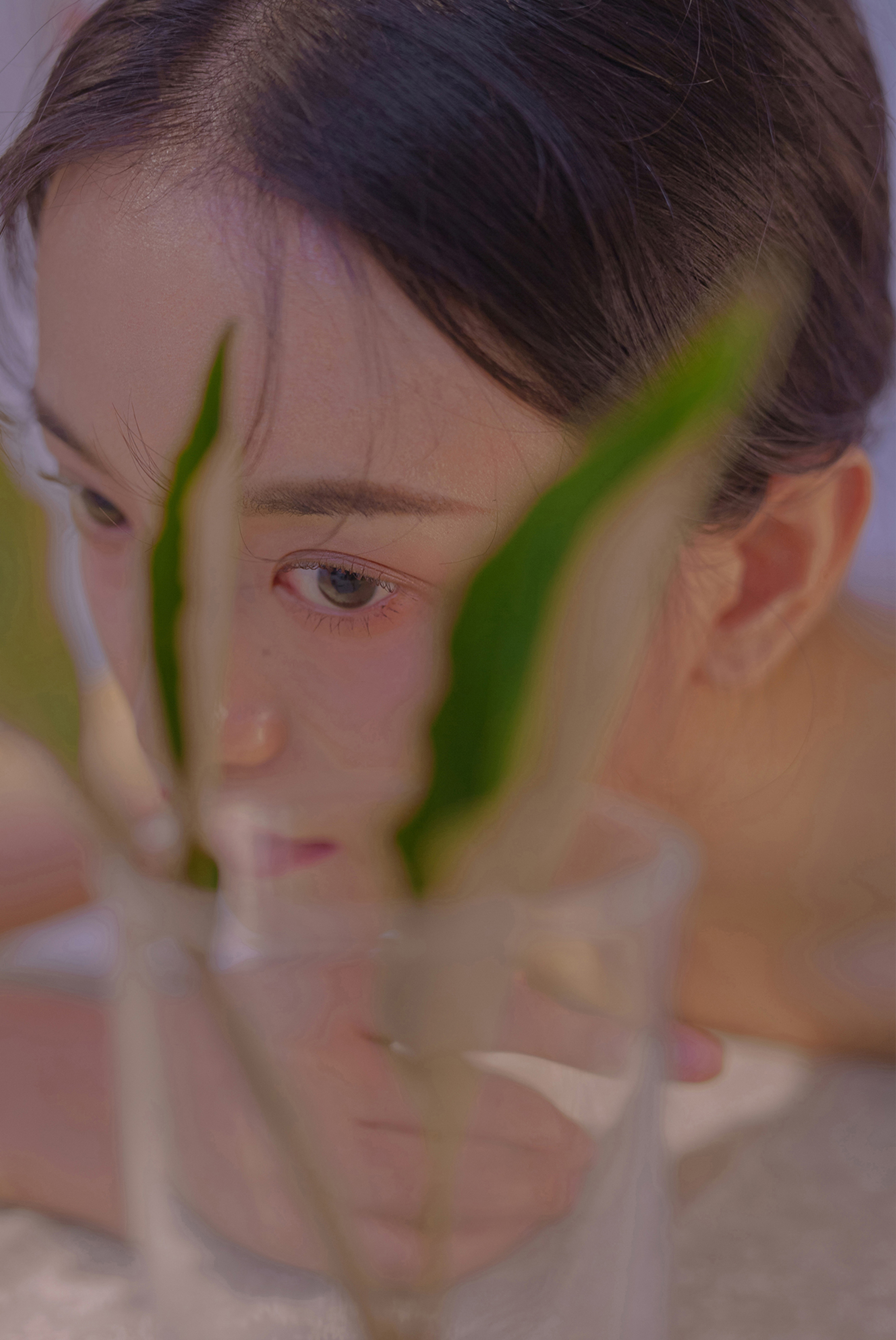 蜘蛛池在泛解析中的实战价值