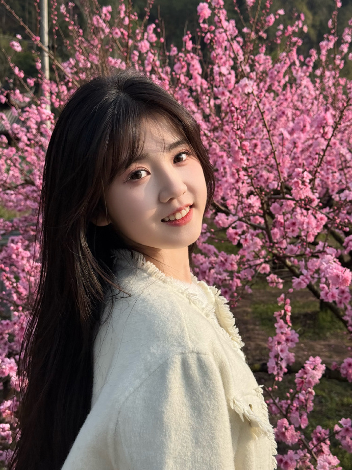 蜘蛛池的分布式架构实现方案