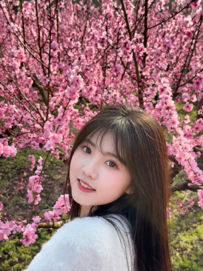 蜘蛛池访问异常的识别与响应策略