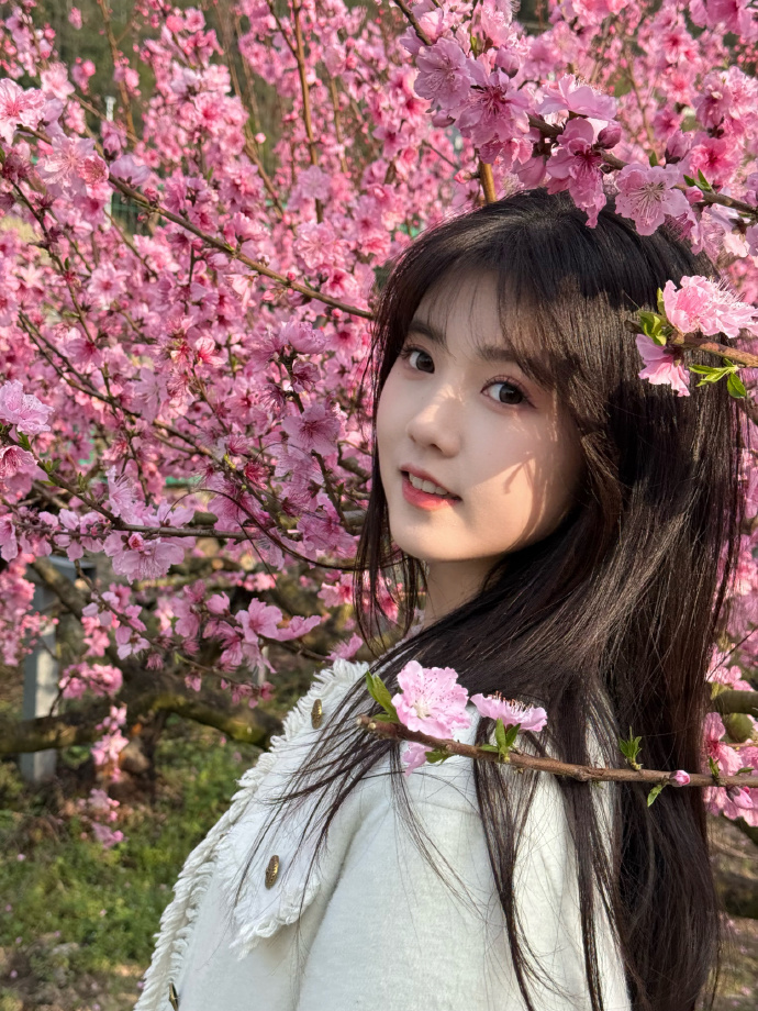 蜘蛛池在小程序内容优化中的使用方式