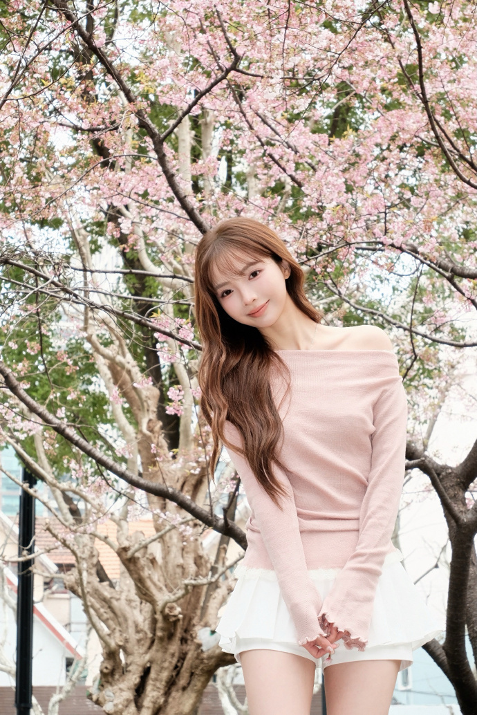 蜘蛛池与网站架构优化的配合