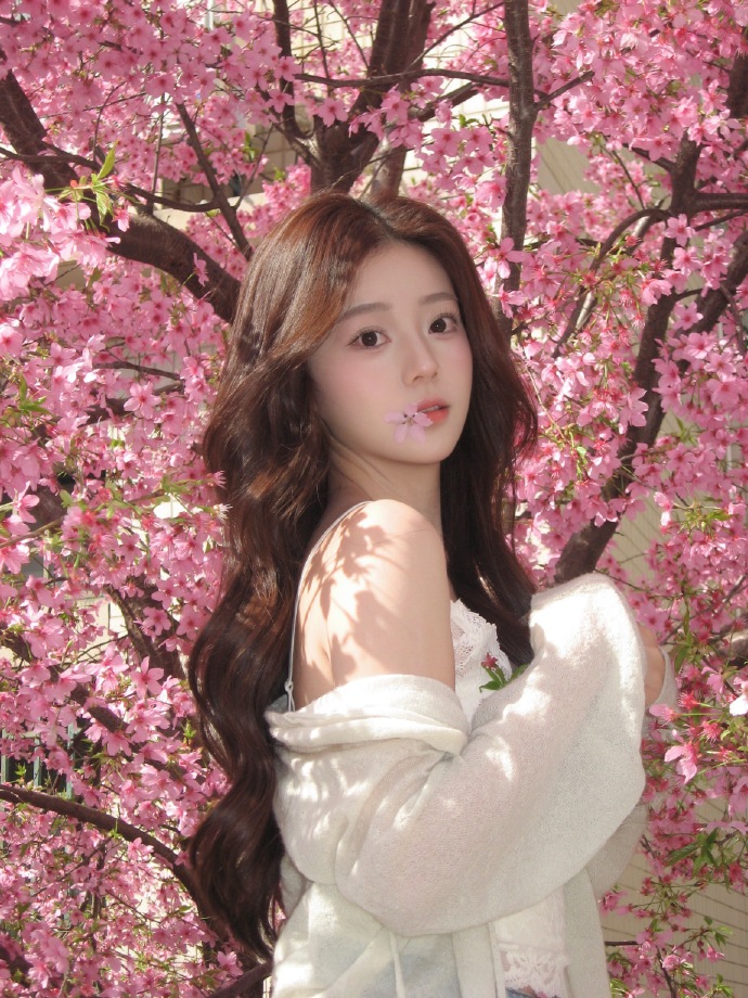 蜘蛛池是否能配合低频爬虫同步策略