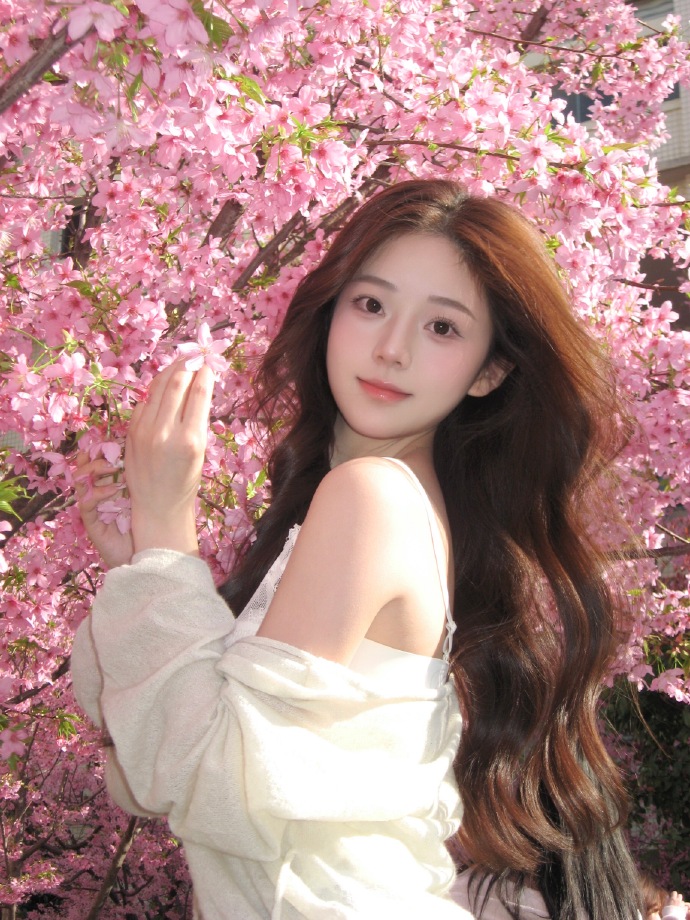 蜘蛛池如何配合内链策略？