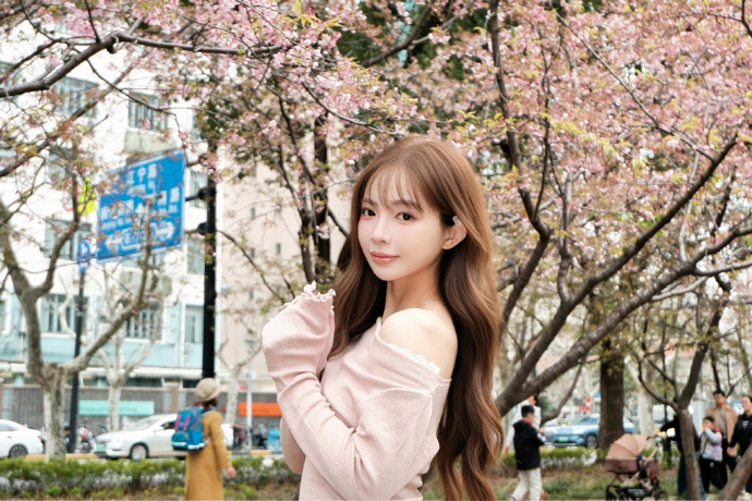 蜘蛛池对SEO黑帽技术的风险分析