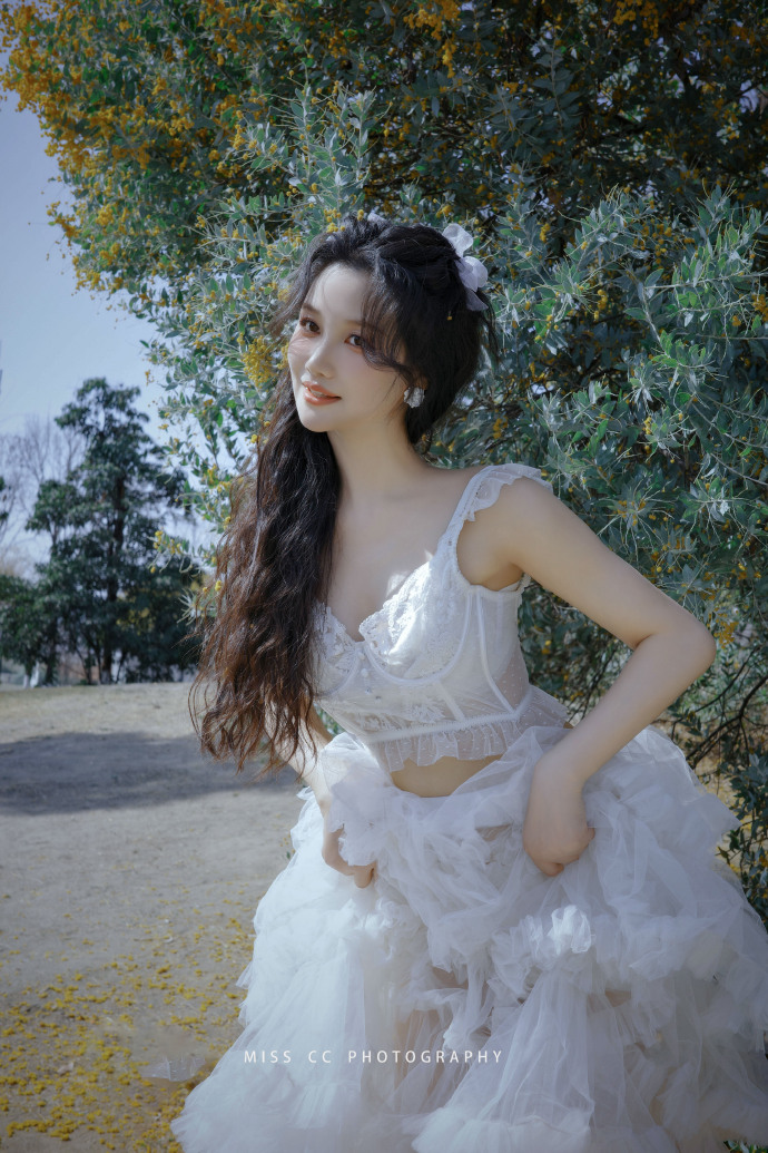 蜘蛛池在泛解析中的实战价值